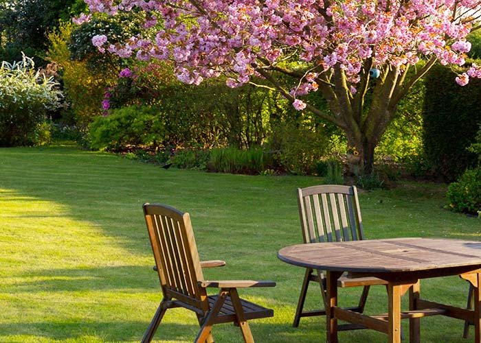 Well-kept garden
