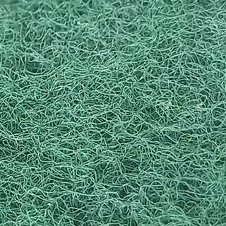 Cellulose scourer