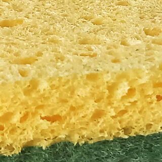 Cellulose scourer