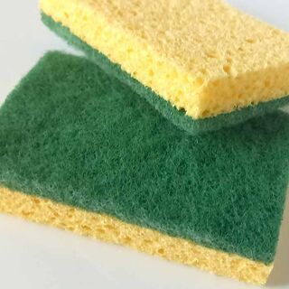 Cellulose scourer