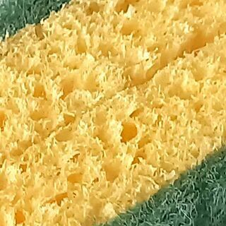 Cellulose scourer